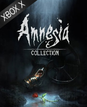 Amnesia Collection