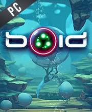 Boid