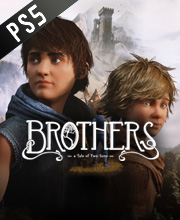 Brothers A Tale of Two Sons Remake