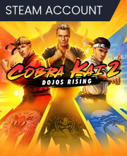 Cobra Kai 2 Dojos Rising