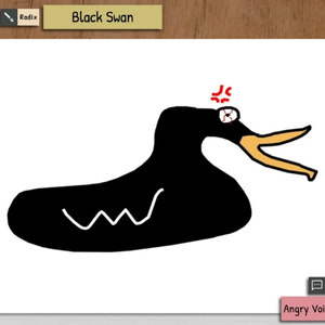 Draw & Guess - Cygne Noir