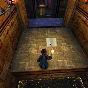 Harry Potter and the Chamber of Secrets - Grimoire