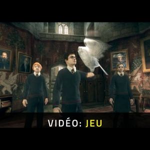 Harry Potter and the Order of the Phoenix - Jouabilité