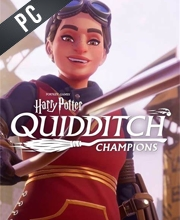 Harry Potter Quidditch Champions