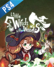 Little Witch in the Woods