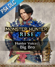 Monster Hunter Rise Hunter Voice Big Bro