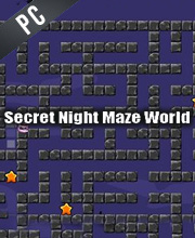 Secret Night Maze World