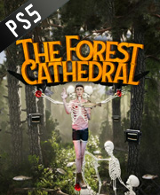 Acheter Sons of the Forest PS5 Comparateur Prix