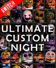 nintendo custom night