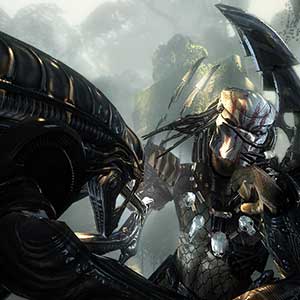 Aliens VS Predator Duel