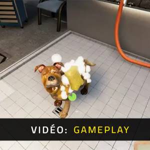 Animal Shelter Simulator - Vidéo de Gameplay