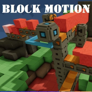 Block Motion