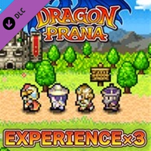 Dragon Prana Experience x3