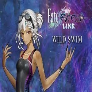 Fate EXTELLA LINK  Wild Swim