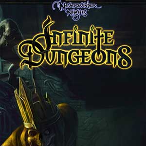 Acheter Neverwinter Nights Infinite Dungeons Clé CD Comparateur Prix