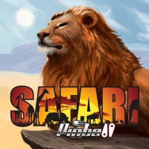 Acheter Safari Pinball Clé CD Comparateur Prix