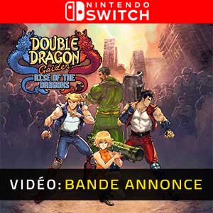 Double Dragon Collection Nintendo Switch : : Jeux vidéo