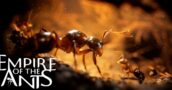 Empire Of The Ants : Toutes les éditions en un coup d’œil – Meilleurs prix comparés