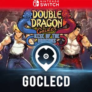 Double Dragon Collection Nintendo Switch : : Jeux vidéo