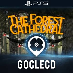 Acheter Sons of the Forest PS5 Comparateur Prix