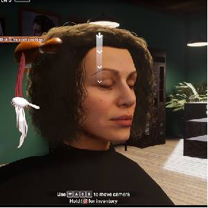 Hairdresser Simulator Brosser les Cheveux