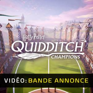 Harry Potter Quidditch Champions