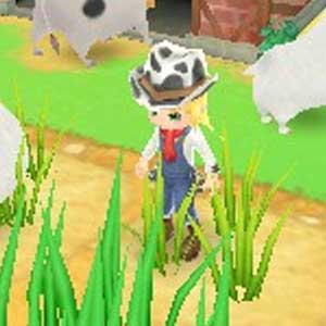 Harvest Moon 3D A New Beginning Nintendo 3DS Personnages