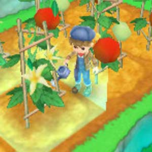 Harvest Moon 3D A New Beginning Nintendo 3DS Arrosant les plantes