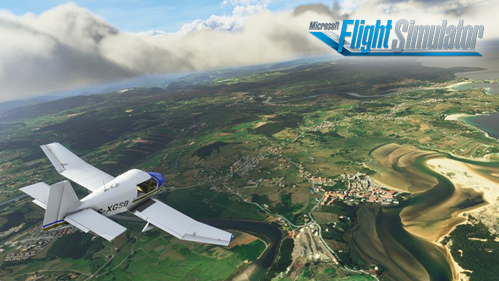 Microsoft Flight Simulator