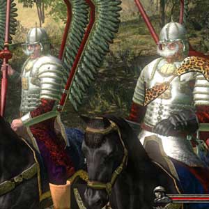 Mount Blade Collection Soldats