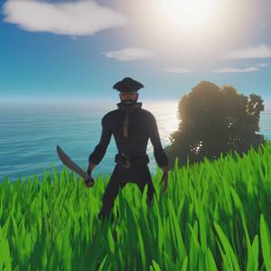 Salt 2 Shores of Gold - Combattre un pirate