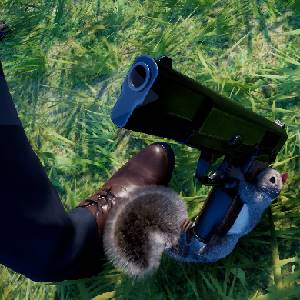 Squirrel with a Gun Tir