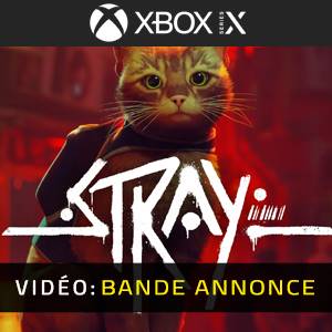 Stray Bande-annonce Vidéo