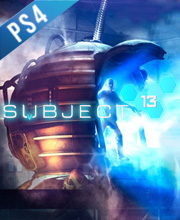 Subject 13