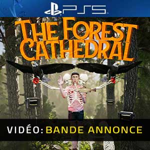 Acheter Sons of the Forest PS5 Comparateur Prix