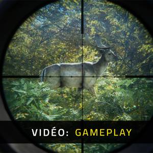 theHunter Call of the Wild Master Hunter Bundle Vidéo de gameplay