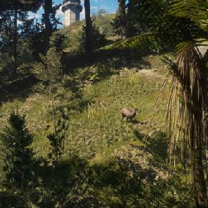 theHunter Call of the Wild Te Awaroa National Park - Flore de Te Awaroa