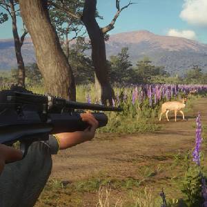 theHunter Call of the Wild Weapon Pack 3 - Cerf