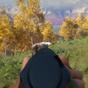 theHunter Call of the Wild Weapon Pack 3 - Fusil