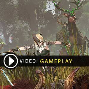 Total War WARHAMMER Realm of The Wood Elves Gameplay Video
