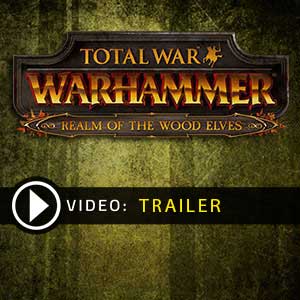 Acheter Total War WARHAMMER Realm of The Wood Elves Clé Cd Comparateur Prix