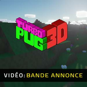 Turbo Pug 3D